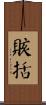 賅括 Scroll