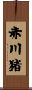 赤川猪 Scroll