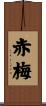 赤梅 Scroll