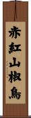 赤紅山椒鳥 Scroll