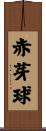 赤芽球 Scroll