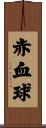 赤血球 Scroll