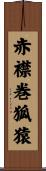 赤襟巻狐猿 Scroll