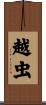 越虫 Scroll