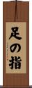 足の指 Scroll