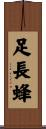 足長蜂 Scroll