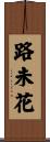 路未花 Scroll