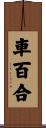 車百合 Scroll