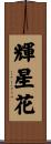 輝星花 Scroll