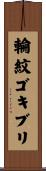 輪紋ゴキブリ Scroll
