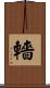 轖 Scroll