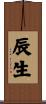辰生 Scroll