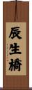 辰生橋 Scroll