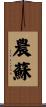 農蘇 Scroll