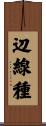辺線種 Scroll