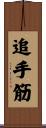追手筋 Scroll