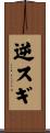 逆スギ Scroll