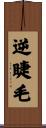 逆睫毛 Scroll