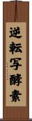 逆転写酵素 Scroll