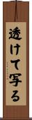 透けて写る Scroll