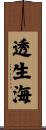 透生海 Scroll