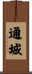 通城 Scroll