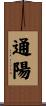 通陽 Scroll