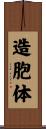 造胞体 Scroll