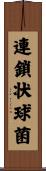 連鎖状球菌 Scroll