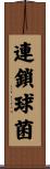 連鎖球菌 Scroll