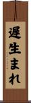 遅生まれ Scroll