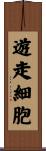 遊走細胞 Scroll