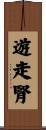 遊走腎 Scroll