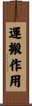 運搬作用 Scroll
