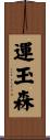 運玉森 Scroll