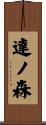 達ノ森 Scroll