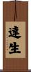 達生 Scroll