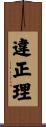 違正理 Scroll