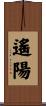 遙陽 Scroll