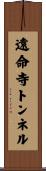 遠命寺トンネル Scroll