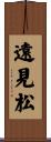 遠見松 Scroll