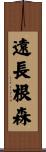 遠長根森 Scroll
