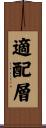 適配層 Scroll