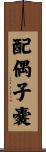 配偶子嚢 Scroll
