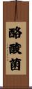 酪酸菌 Scroll