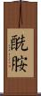 酰胺 Scroll