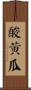 酸黃瓜 Scroll