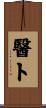 醫卜 Scroll