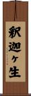 釈迦ヶ生 Scroll