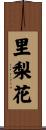 里梨花 Scroll